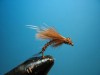 CDC Biot Caddis Emerger 2.JPG