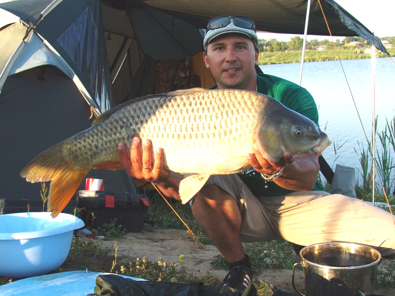 CarpmasterSV01.jpg