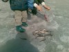 10042010 .jpg