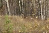  2008 004.jpg