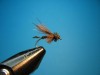 CDC Biot Caddis Emerger.JPG