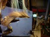 DSC00318.JPG