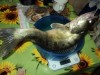 DSC01512.JPG