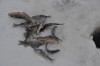 DSC_0179.JPG