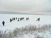 DSCF5982_.jpg