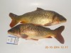 DSCN1564.JPG