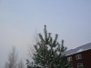 DSCN5494.JPG