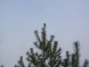 DSCN5495.JPG