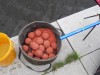 DSCN5660.jpg