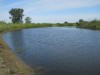 DSCN6110_thumb.jpg