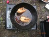DSCN7453.jpg