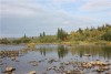 ffd0de0ae107.jpg