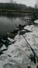 IMAG0031.jpg