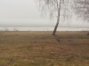 IMG912.jpg