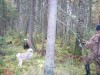 IMG_0508.JPG