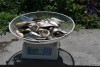 IMG_1219.JPG