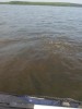 IMG_20150620_101620.jpg
