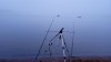 IMG-20221002-WA0000  .jpeg