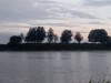 IMG_20240801_043645  .jpg