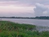 IMG_20240801_043658  .jpg