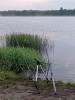 IMG_20240801_043752  .jpg