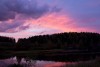 IMG_2565.jpg