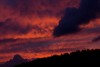 IMG_2571.jpg
