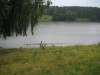 IMG_2776.jpg