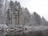 P1010615.jpg