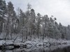 P1010636.jpg