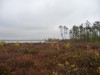 P1030137.jpg