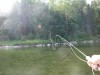 P8208340.jpg