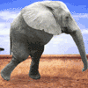 prikolnoe_100x100_0068.gif