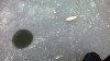 WP_20131123_002.jpg