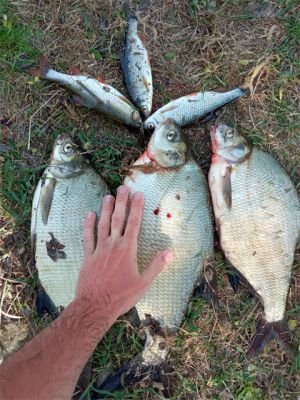 �������, ����� ���������� � ������ ������