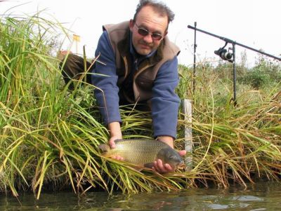 �������, ����� ���������� � ������ ������