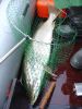 Файл: DSC00439.jpg
Объем: 42КБ
Размеры: 450x600
Дата: Июль 02, 2005 DSC00439.jpg