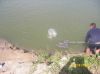 Resize of 100_0327.JPG