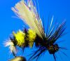 DSC09330-1.jpg
