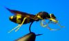 DSC09347_ .JPG