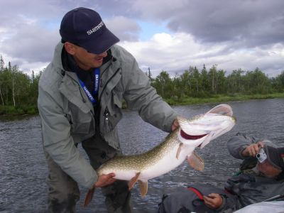 �������, ����� ���������� � ������ ������