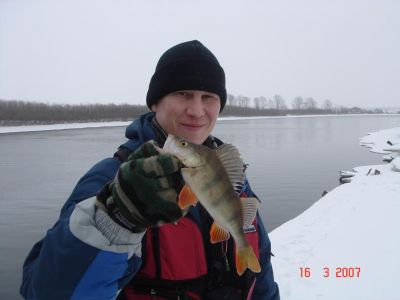 �������, ����� ���������� � ������ ������