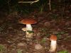 DSC002151.jpg