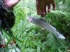 DSC002231.jpg
