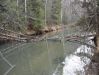 DSC00411.jpg