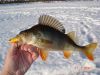 DSC01913.jpg