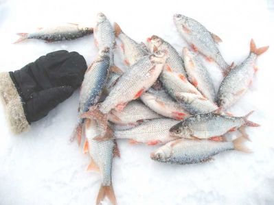 �������, ����� ���������� � ������ ������