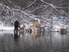 IMG_1671.JPG