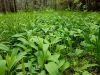 20170610_142808-800x600.jpg