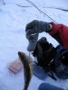IMG_4533.jpg